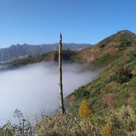 Mar De Flores Vega de San Mateo Dış mekan fotoğraf