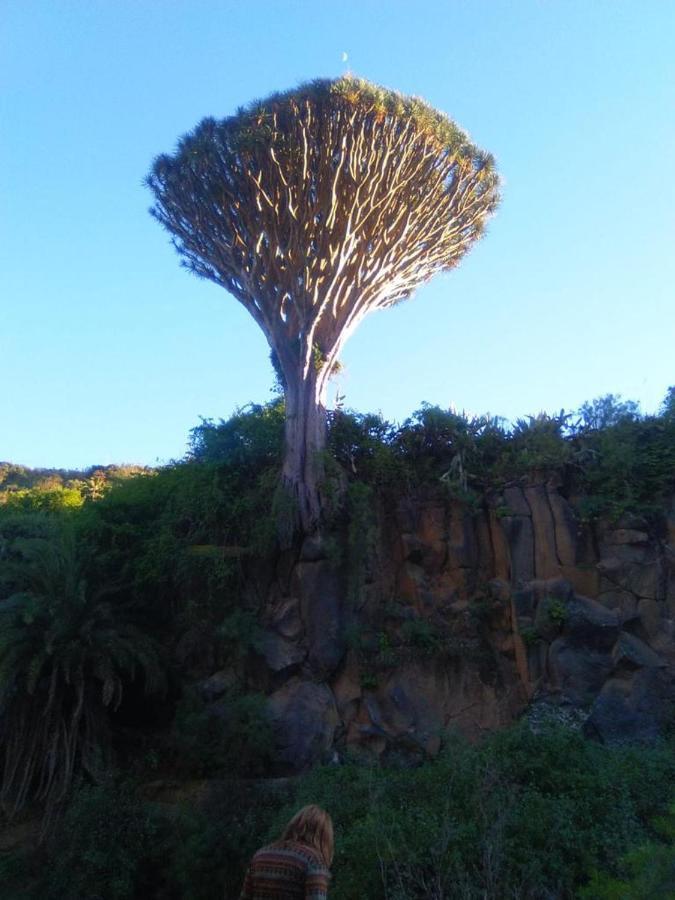 Mar De Flores Vega de San Mateo Dış mekan fotoğraf