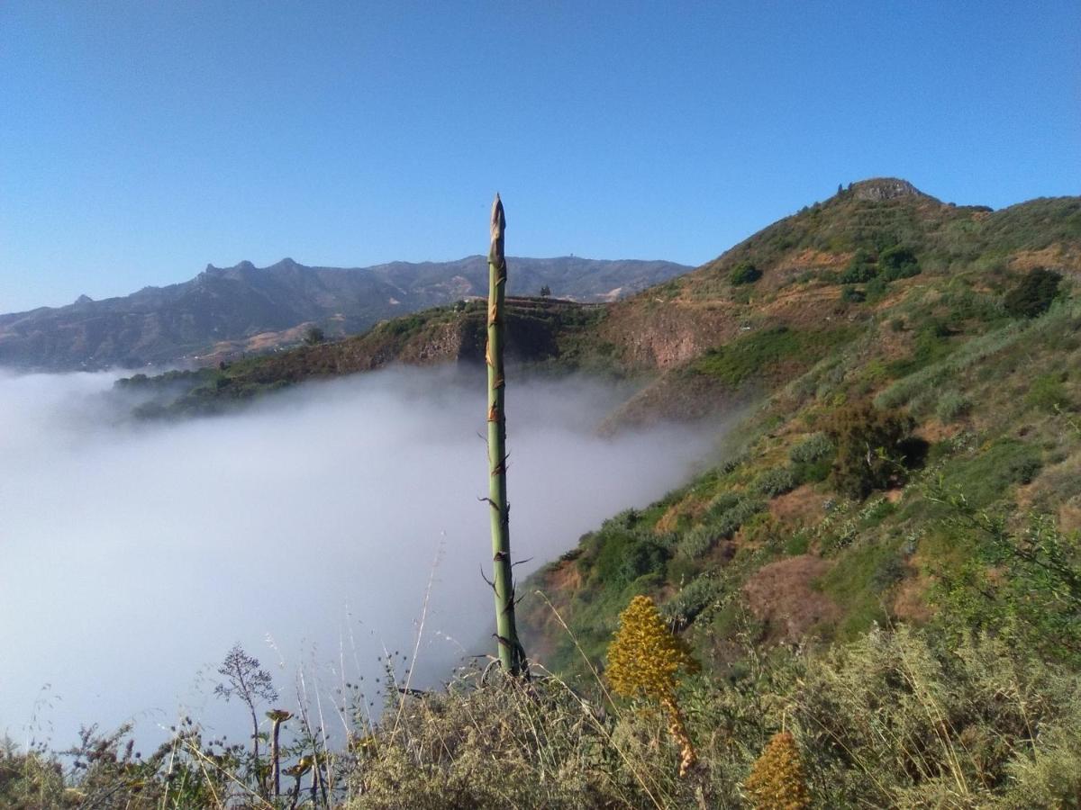 Mar De Flores Vega de San Mateo Dış mekan fotoğraf