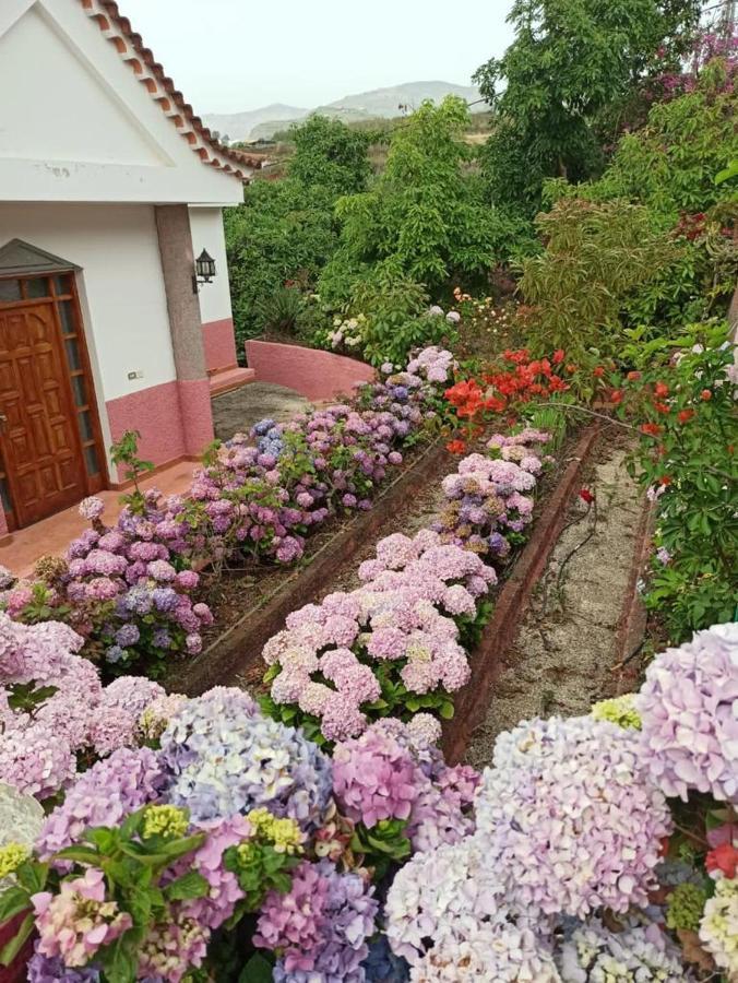Mar De Flores Vega de San Mateo Dış mekan fotoğraf