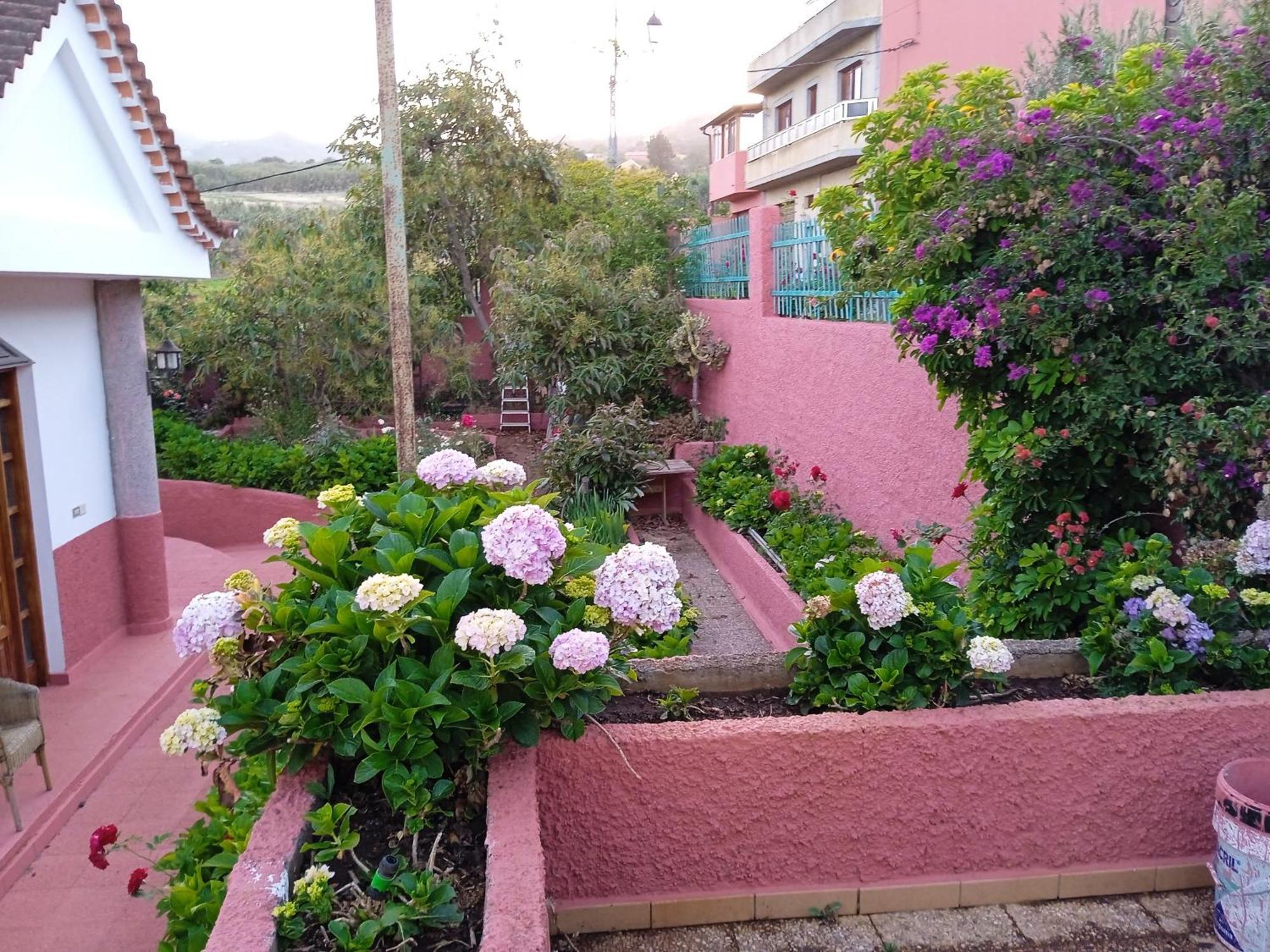 Mar De Flores Vega de San Mateo Dış mekan fotoğraf